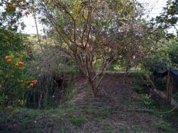 Venda em Boa Vista - Juruaia
