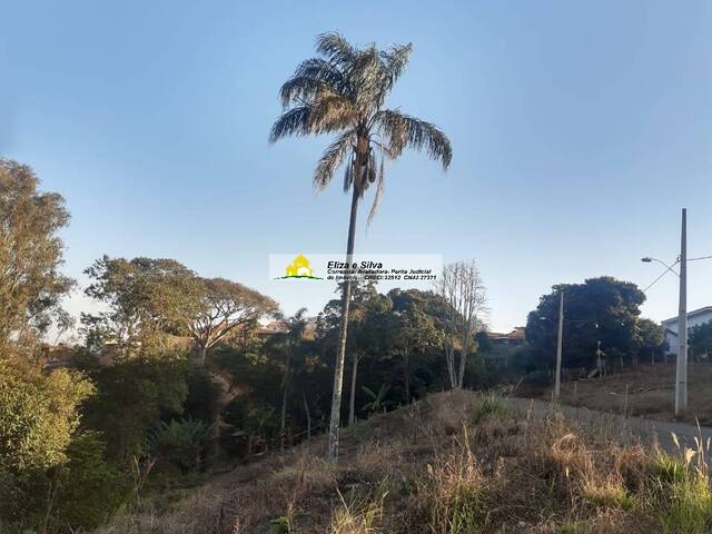 #742 - Terreno para Venda em Nova Resende - MG - 1