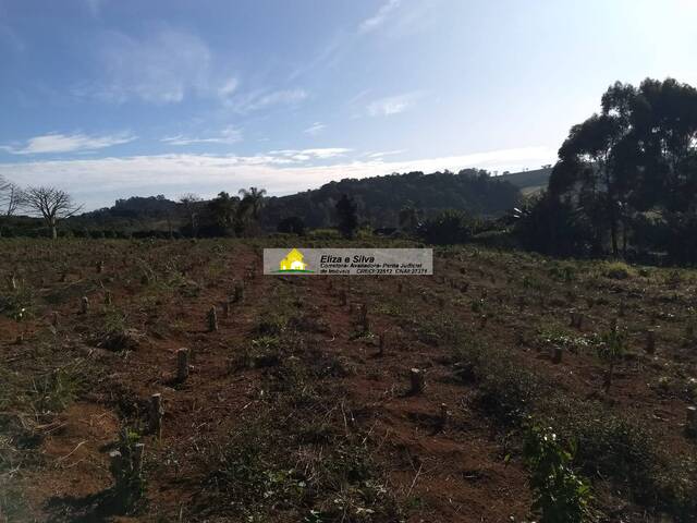 #861 - Sítio para Venda em Nova Resende - MG