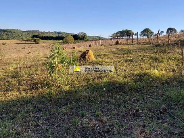 Sítio para Venda em Nova Resende - 4