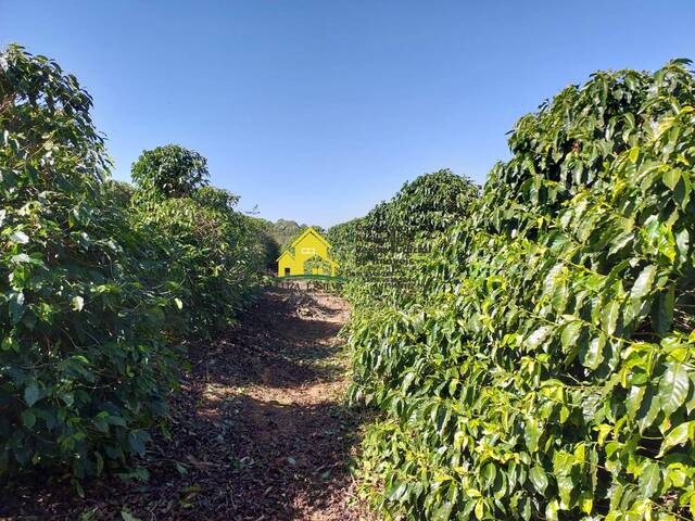 Sítio para Venda em Nova Resende - 4