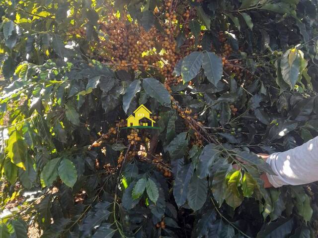 Sítio para Venda em Nova Resende - 5