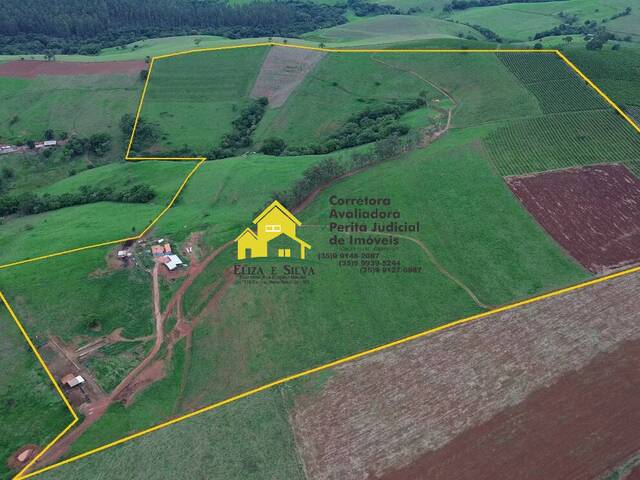 #1053 - Sítio para Venda em Monte Belo - MG - 1