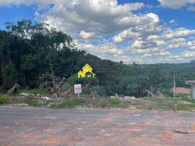 #1061 - Terreno para Venda em Nova Resende - MG - 1
