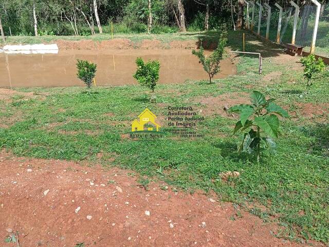 #1076 - Chácara para Venda em Nova Resende - MG - 3