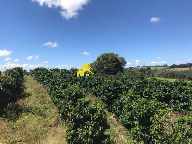 Chácara para Venda em Muzambinho - 5