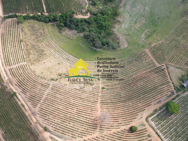 Sítio para Venda em Muzambinho - 4