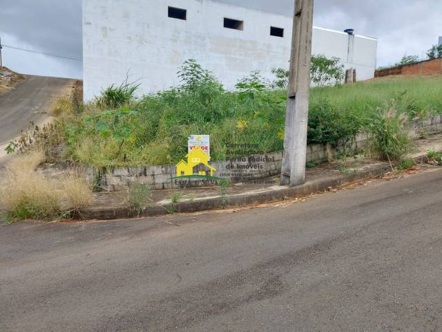 #1132 - Área para Venda em Nova Resende - MG