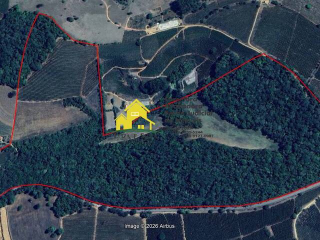 #1147 - Sítio para Venda em Nova Resende - MG