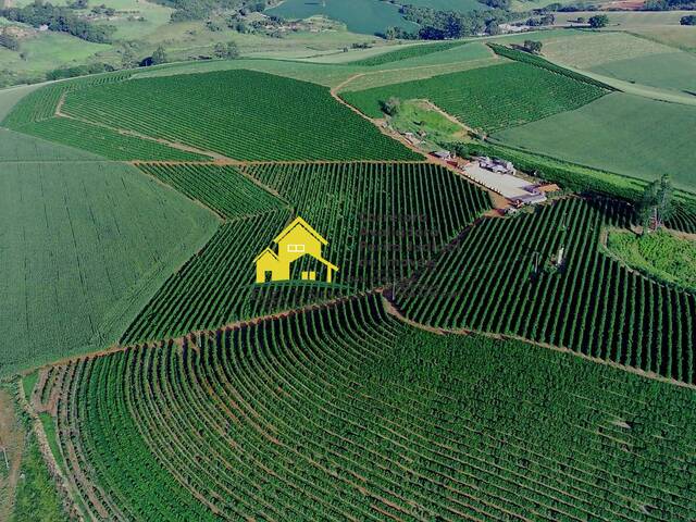 #1149 - Fazenda para Venda em Carvalhópolis - MG