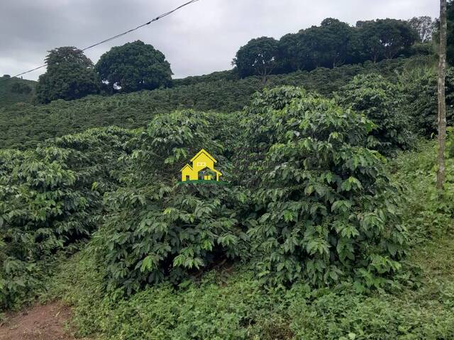 Sítio para Venda em Nova Resende - 4