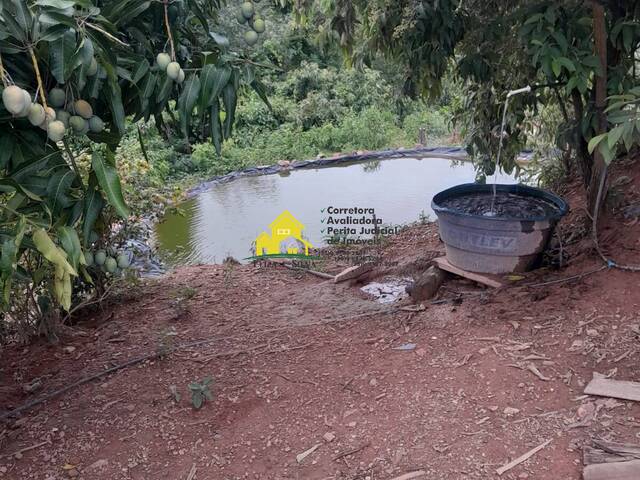 #1150 - Sítio para Venda em Nova Resende - MG