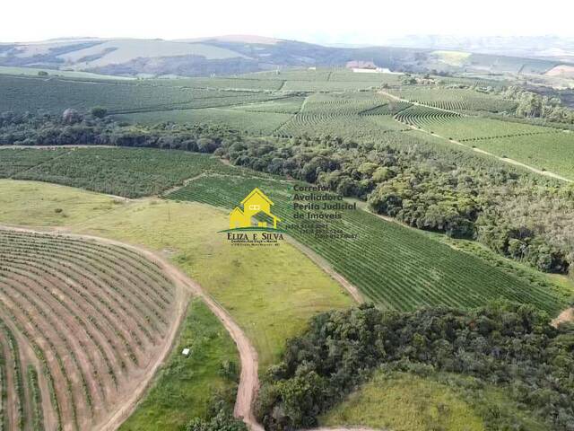 #1156 - Fazenda para Venda em Guapé - MG