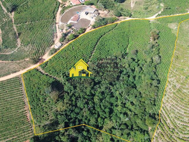 #1170 - Área para Venda em Nova Resende - MG
