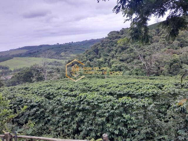 #1150 - Sítio para Venda em Nova Resende - MG