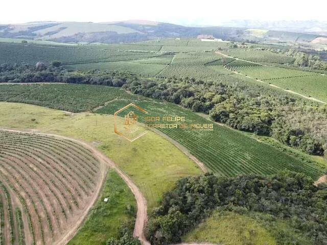 #1156 - Fazenda para Venda em Guapé - MG - 2