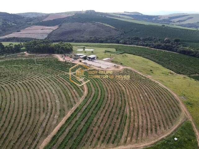 #1156 - Fazenda para Venda em Guapé - MG - 1