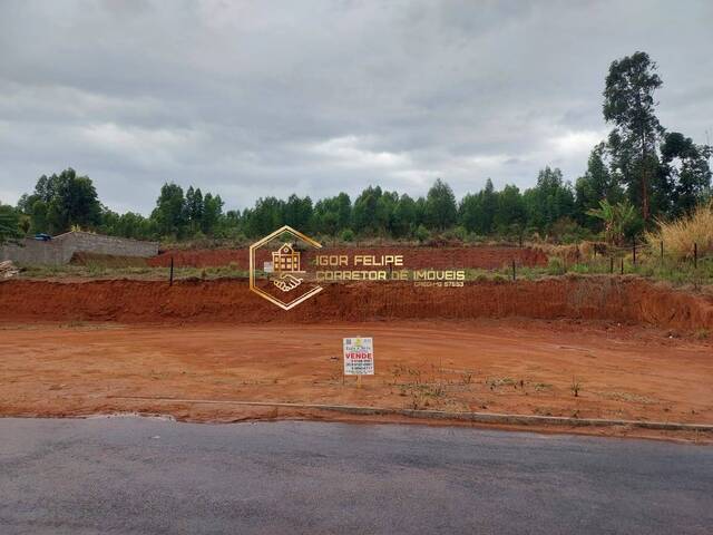 #1121 - Terreno para Venda em Nova Resende - MG - 3