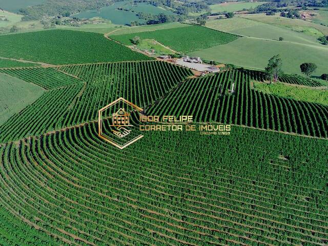 #1149 - Fazenda para Venda em Carvalhópolis - MG - 1