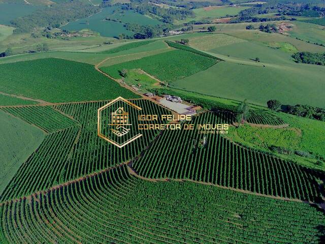 #1149 - Fazenda para Venda em Carvalhópolis - MG - 2